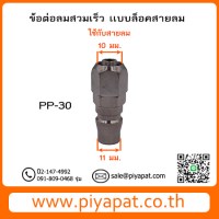 PP30 วัดไซต์